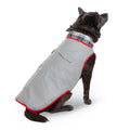 Gray reflective dog jacket with red trim and plaid collar, dog sitting