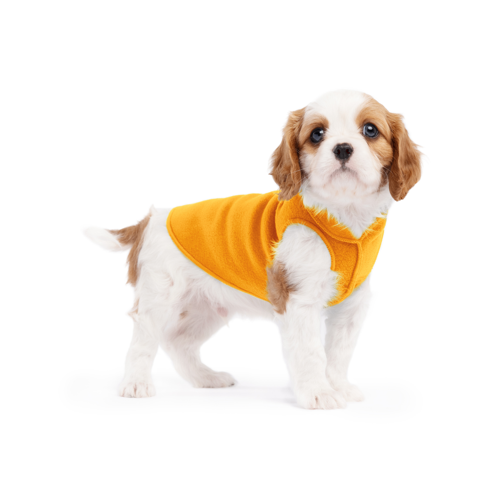 Orange cheddar stretch fleece dog coat with armholes, worn by tan and white dog