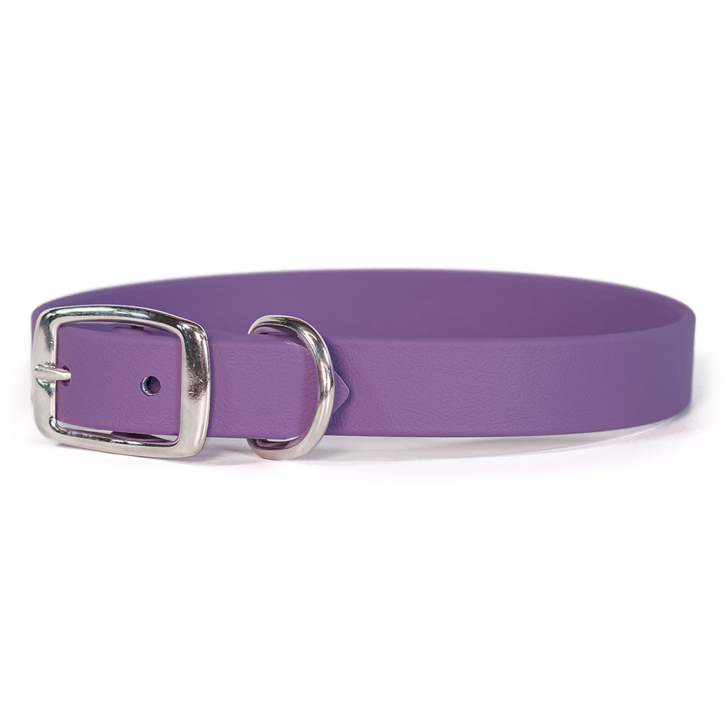 Lilac waterproof dog collar with metal buckle and D-ring hardware