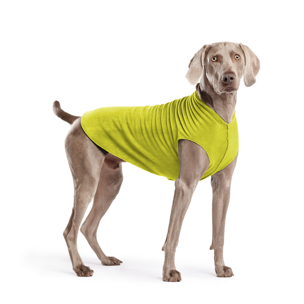 Avocado green stretch fleece dog coat on gray dog, standing side profile