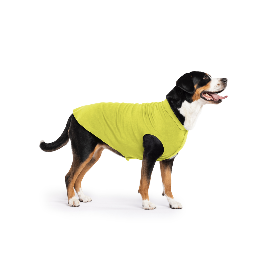 Avocado green stretch fleece dog coat on black-brown dog, side profile