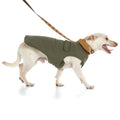 Olive green dog barn coat with hooded collar and adjustable back strap
