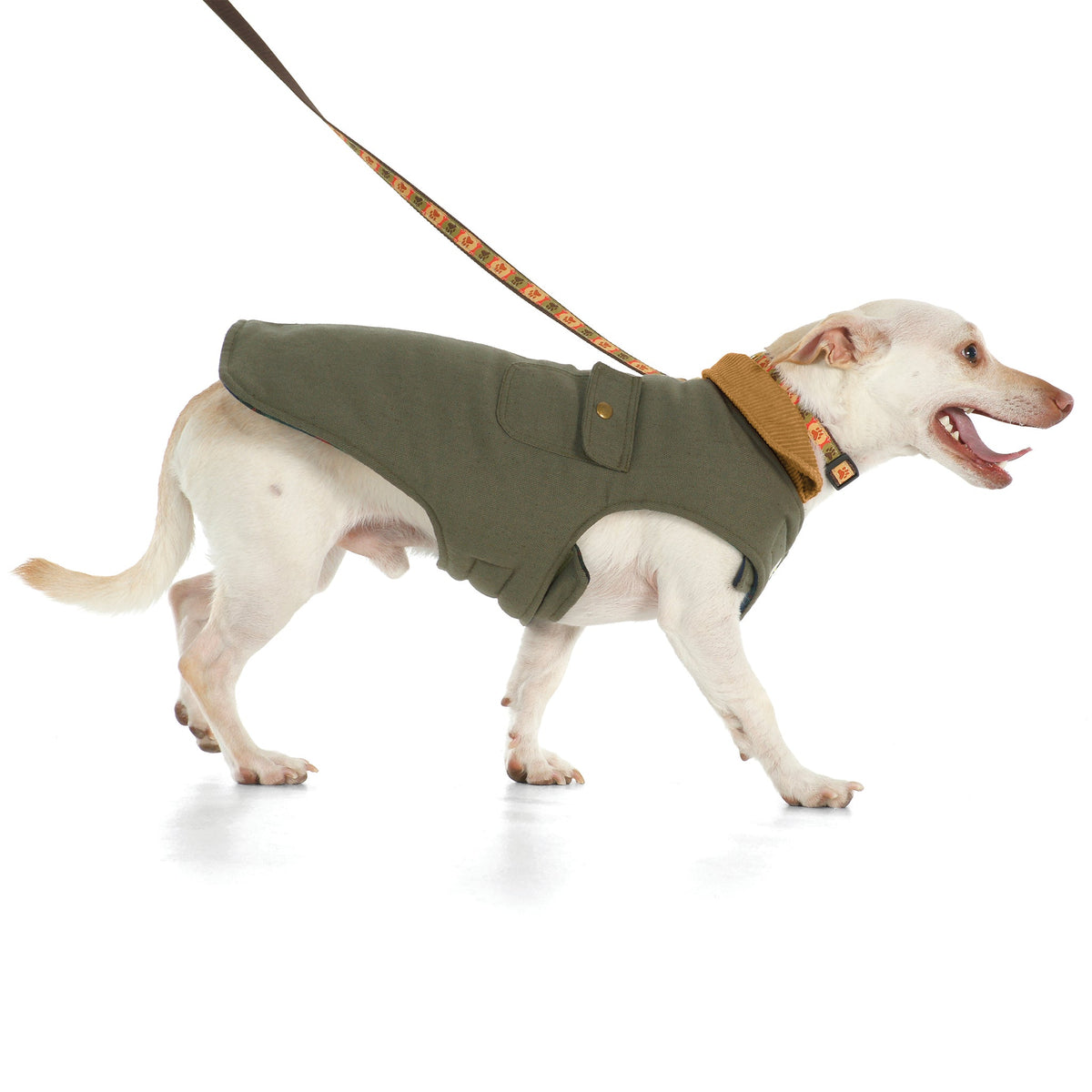 Olive green dog barn coat with hooded collar and adjustable back strap