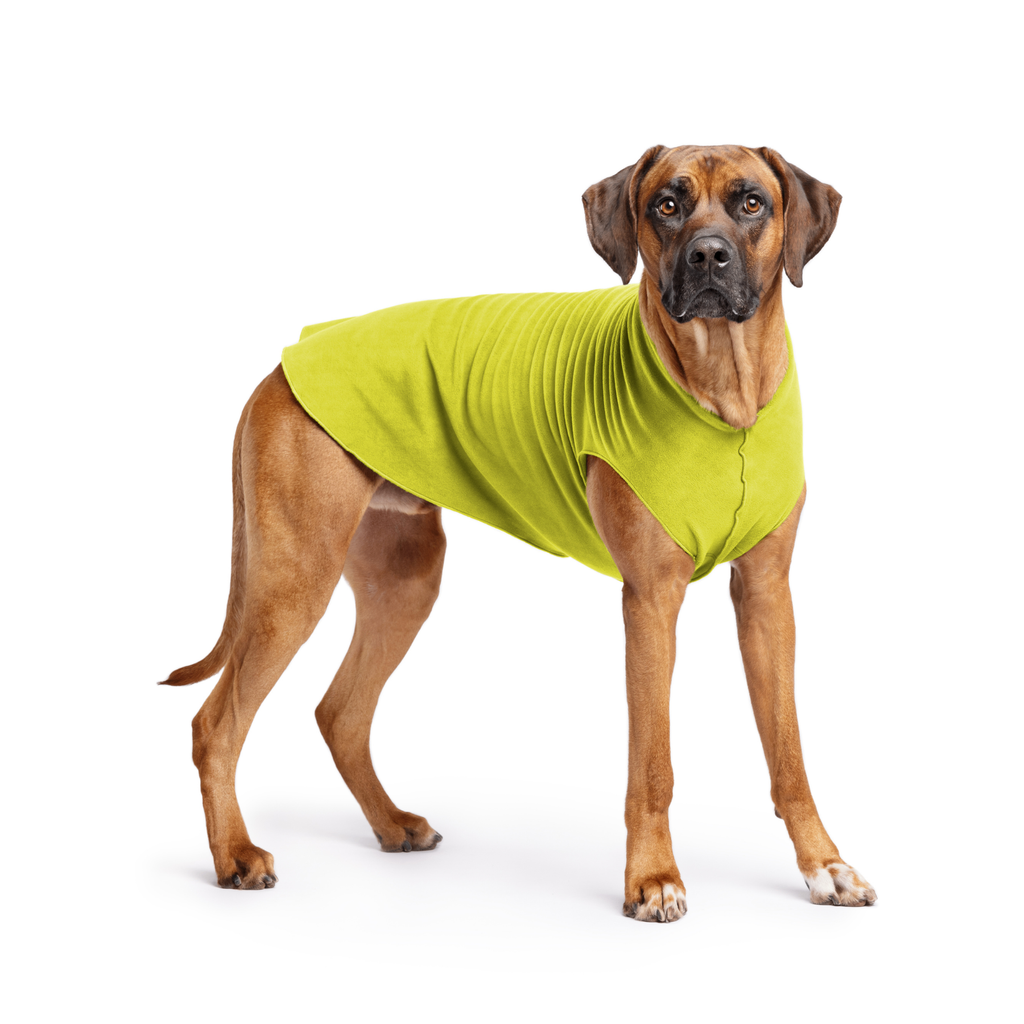 Avocado green stretch fleece dog coat with front leg openings and draped belly