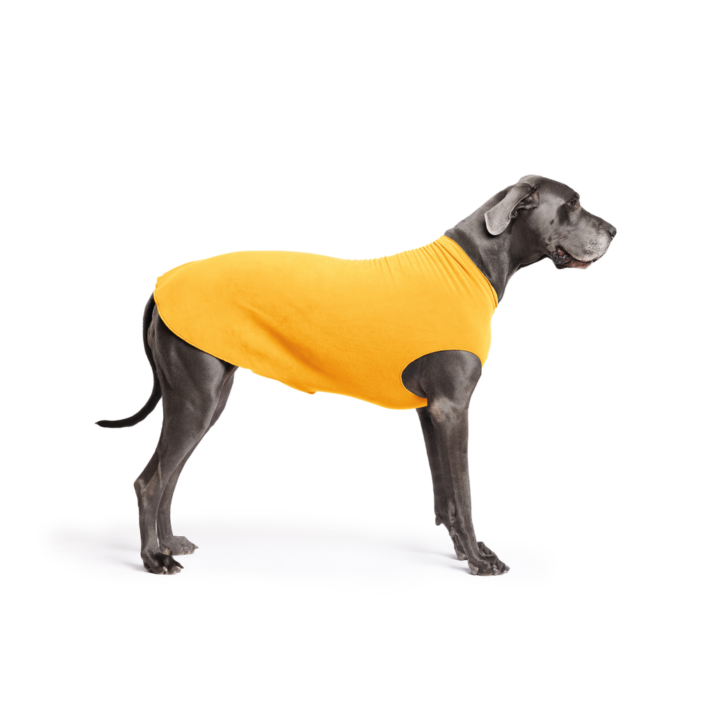 Orange cheddar stretch fleece dog coat with armholes, worn by gray dog