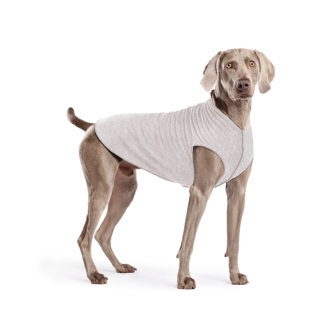 Pebble grey dog sun shield tee with ribbed knit and round neck, open sides