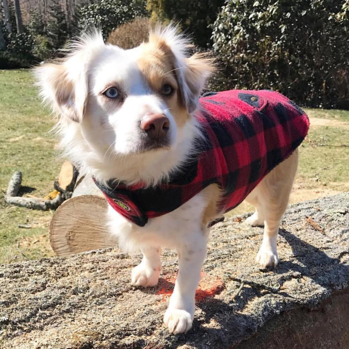 Red buffalo check fleece-lined dog coat with dark plaid and snap fasteners
