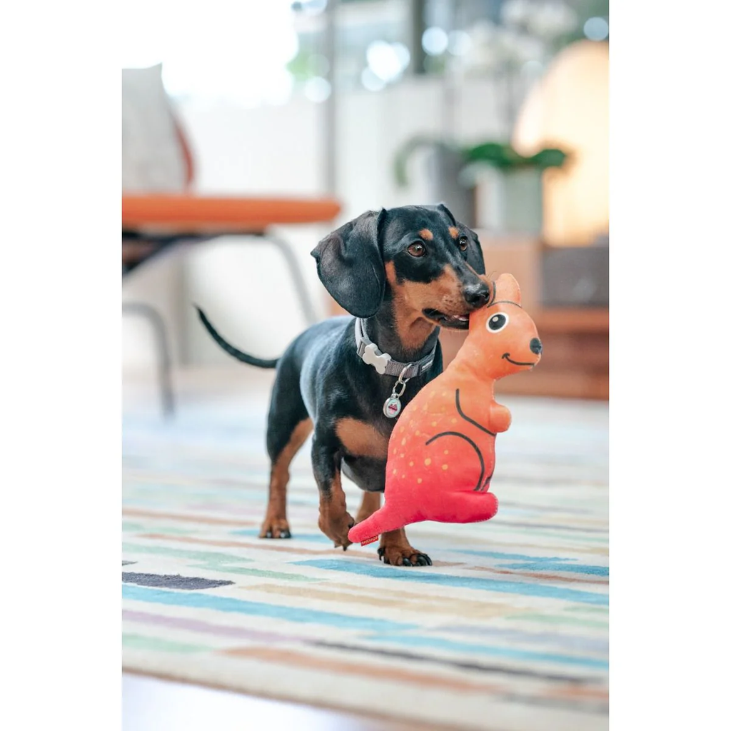 Kangaroo plush dog toy held by a black and brown dog on a colorful rug