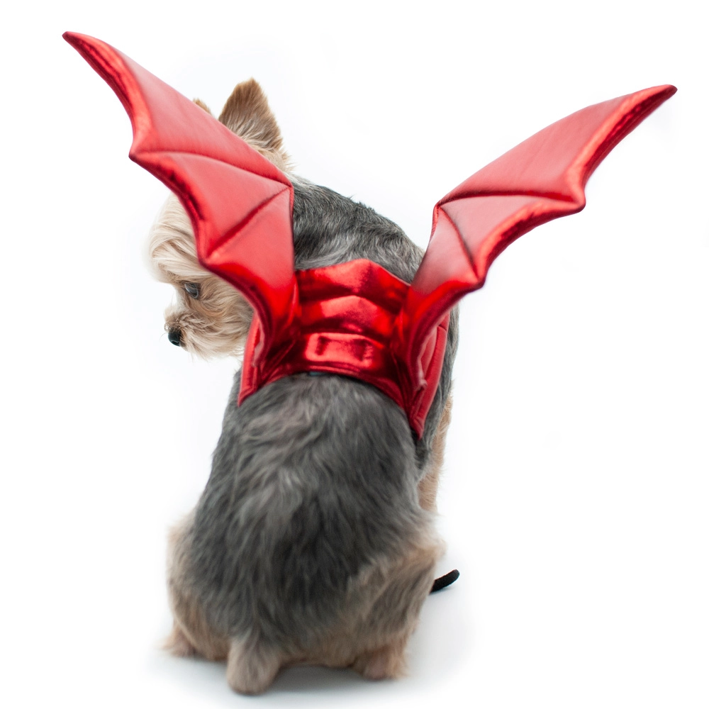 Red dragon wing pet costume on small grey-and-tan dog with wings extended