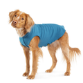 Blue stretch fleece dog coat on small dog, front view with leg cutout