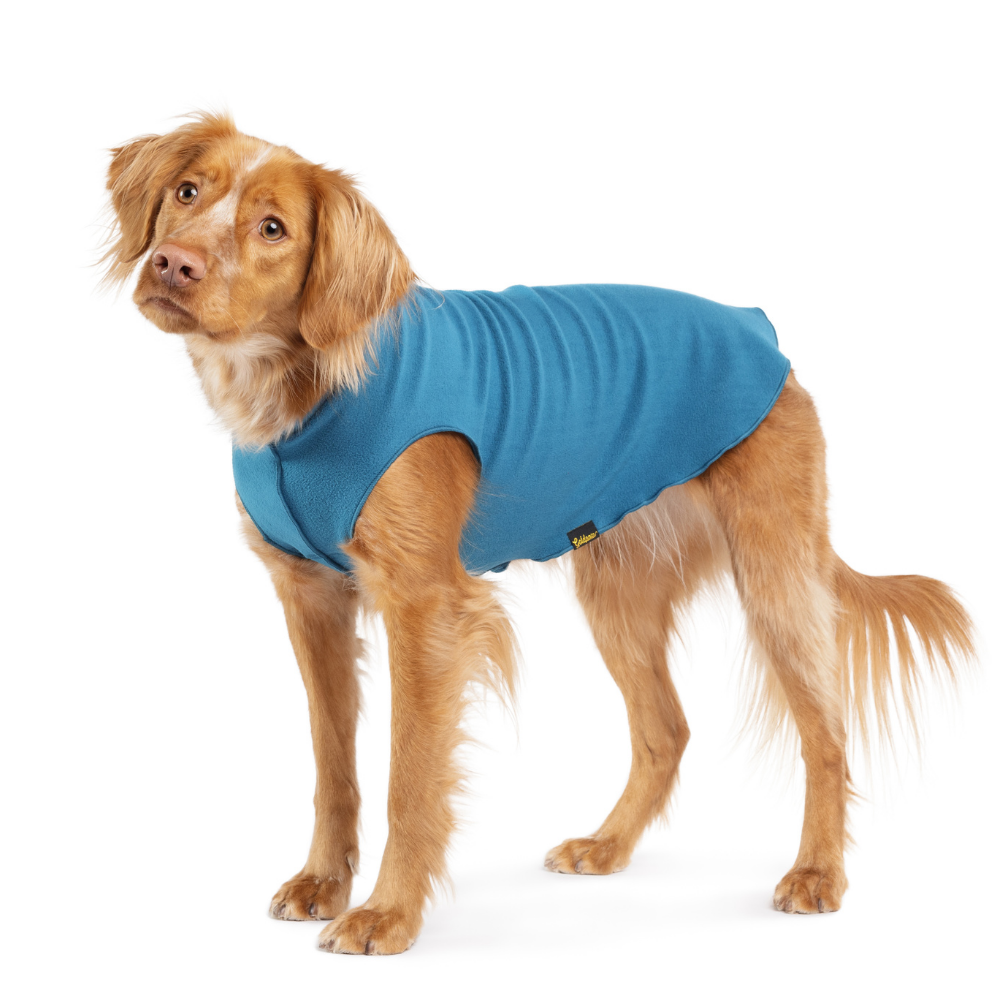 Blue stretch fleece dog coat on small dog, front view with leg cutout