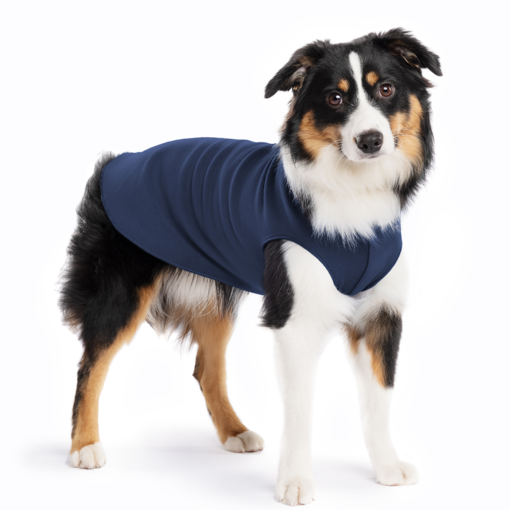 Navy blue stretch fleece dog coat on a tri-color dog, full-body coverage
