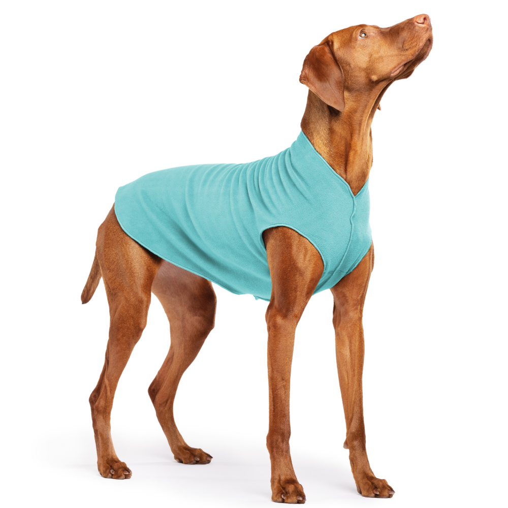 Turquoise stretch fleece dog coat with high neck, open belly, and leg openings