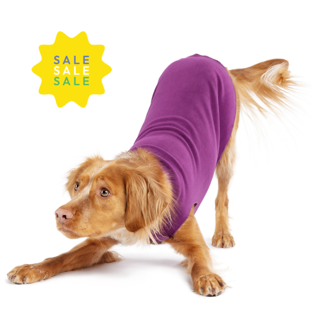Eggplant purple stretch fleece dog coat on a brown dog, back view with paw openings