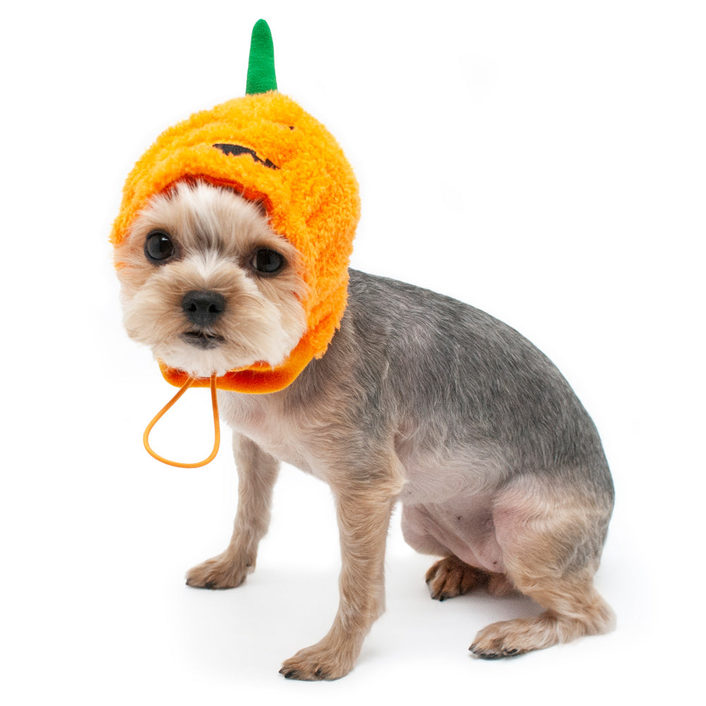 Orange plush pumpkin dog hat with green stem and jack-o-lantern face, worn on gray puppy