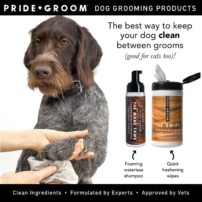 Pride+Groom THE MANE TAME shampoo bottle and wipes with dog grooming shown