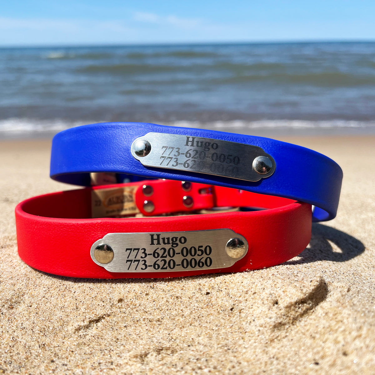 Waterproof dog collars in blue and red, each with an engraved metal nameplate