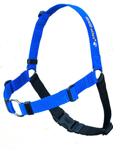 Blue dog harness with adjustable neck and chest straps