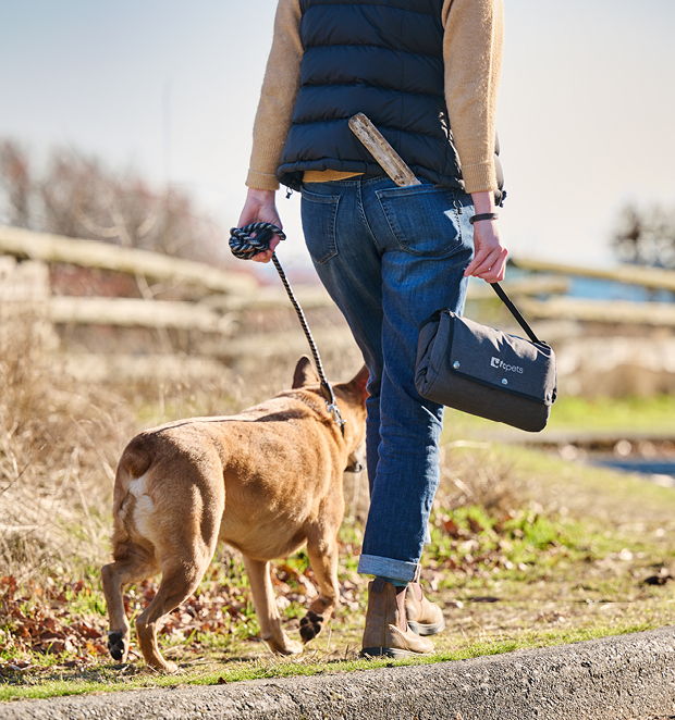 Dog travel mat laid on ground beside leashed dog during outdoor walk