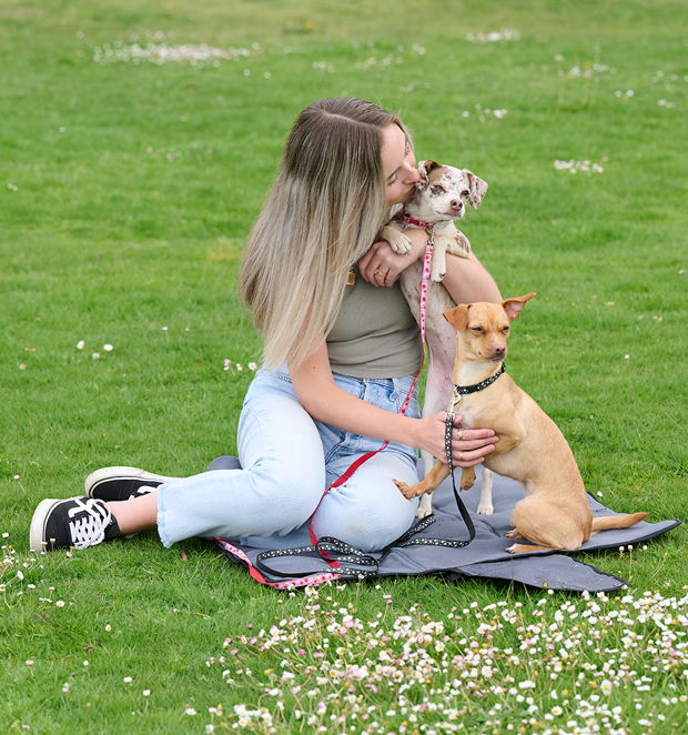 Dog travel mat in use on grass as dog sits on the padded surface