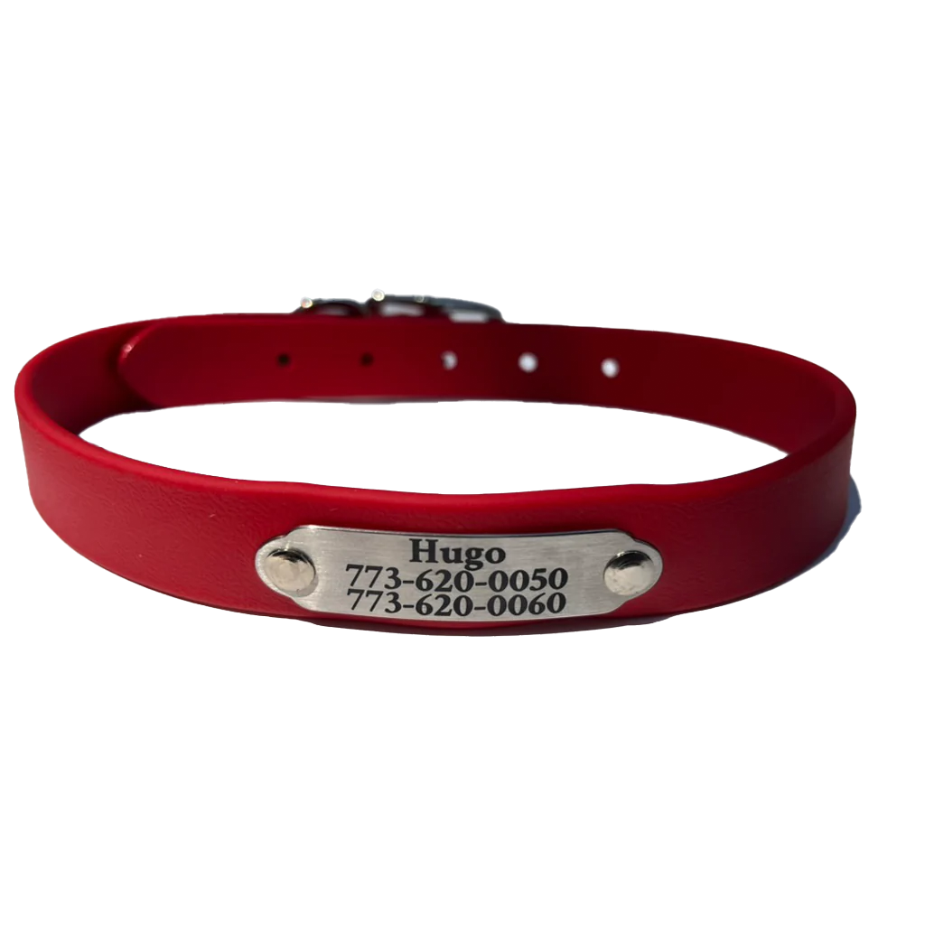 Waterproof dog collar in red with engraved metal nameplate reading Hugo