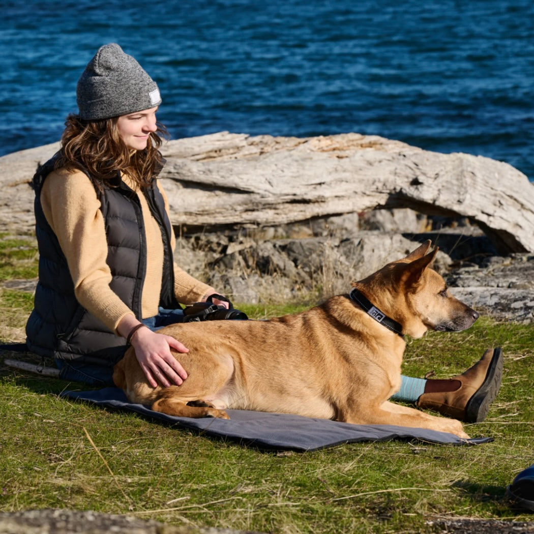 Dark gray foldable dog travel mat with padded surface, dog resting on it