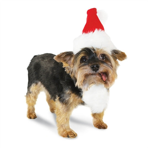 Santa hat for small dog with red crown, white faux-fur trim, and pom-pom