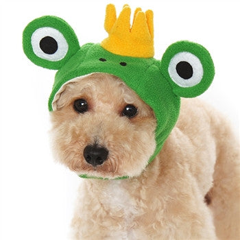 Green frog-style dog hat with yellow crown, large eyes, and chin strap