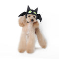 Black bat dog hat on small dog with lime eye patches and floppy wings
