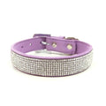 Purple dog collar with silver rhinestone band and gold-tone buckle hardware