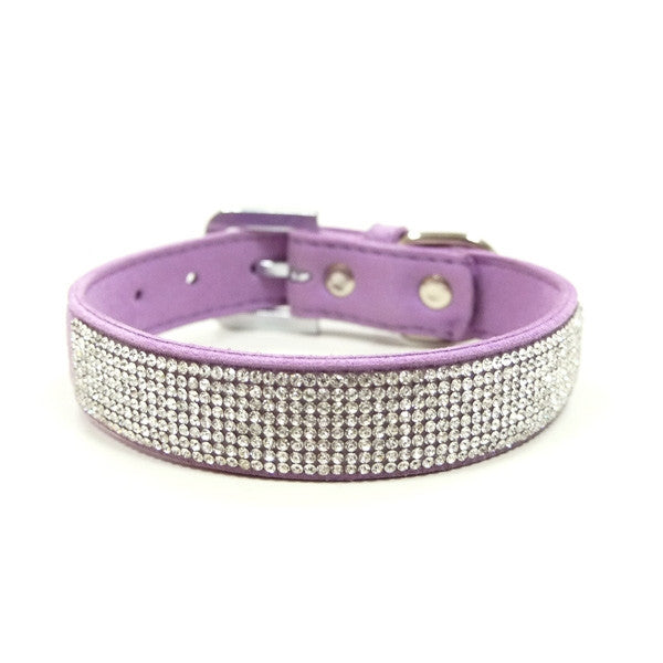 Purple dog collar with silver rhinestone band and gold-tone buckle hardware
