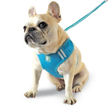 Light blue soft step-in dog harness with padded mesh and D-ring, worn on a dog.