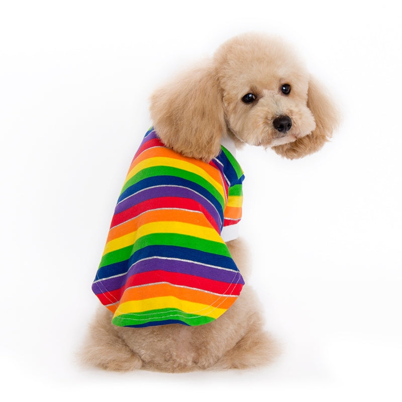 Rainbow striped polo shirt on a dog, side view with white collar
