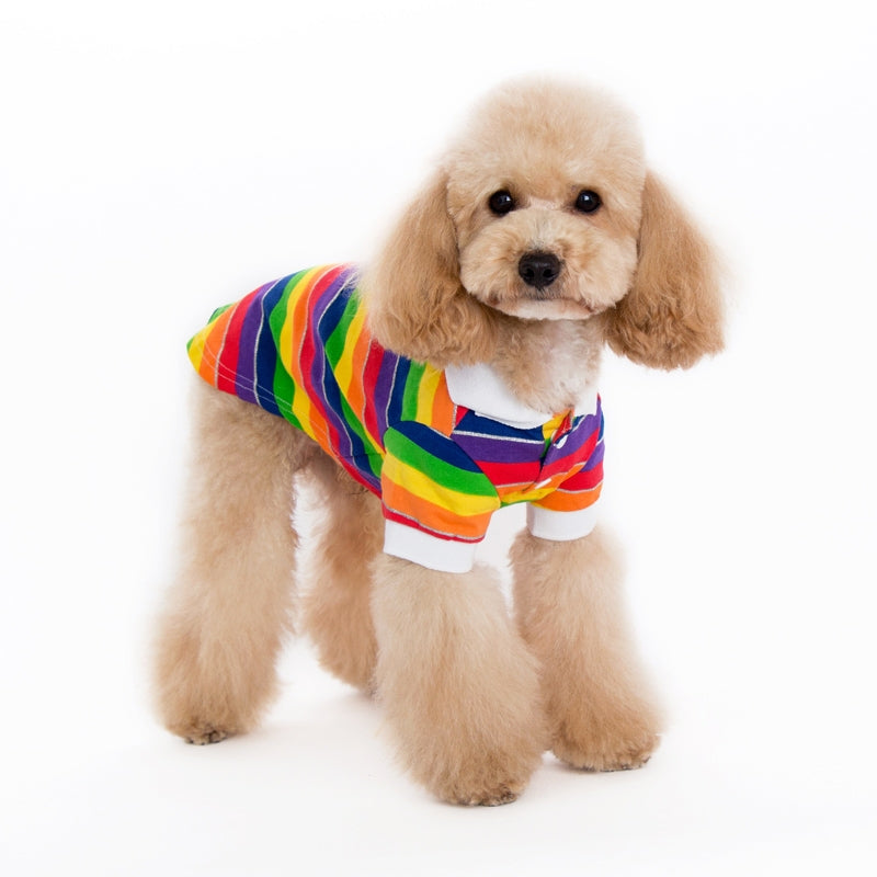 Rainbow striped dog polo shirt with white collar and short sleeves
