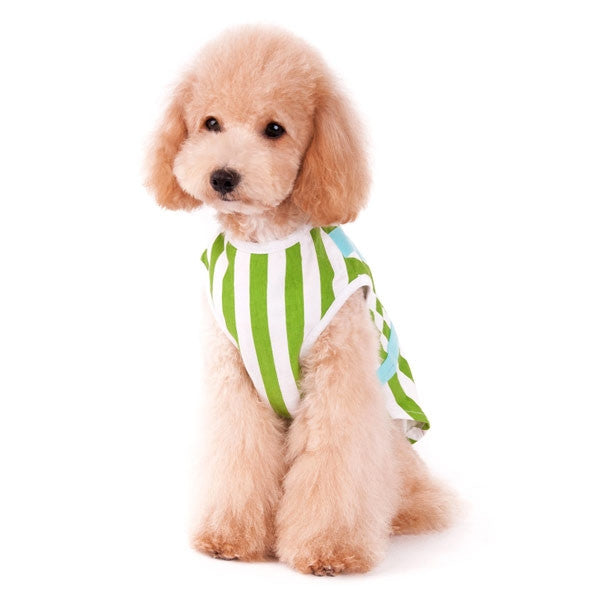 Seated pet dog wearing green and white striped tank top with light blue trim