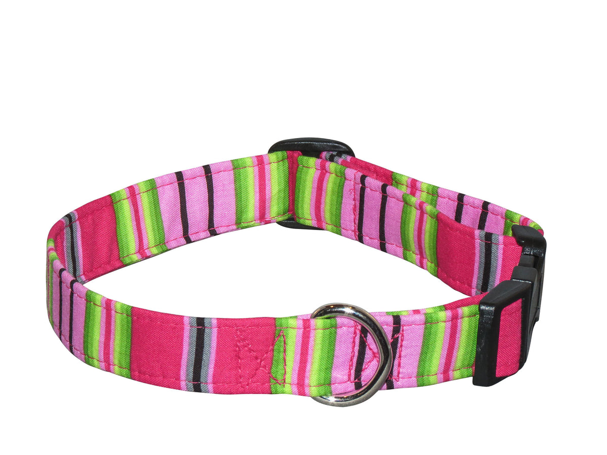 Fuchsia striped dog collar with round metal buckle and D-ring