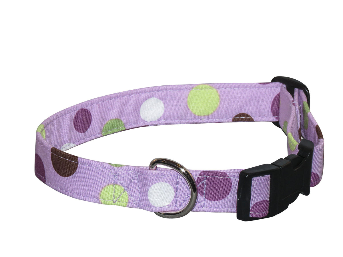 Purple polka-dot dog collar with metal D-ring and black plastic buckle
