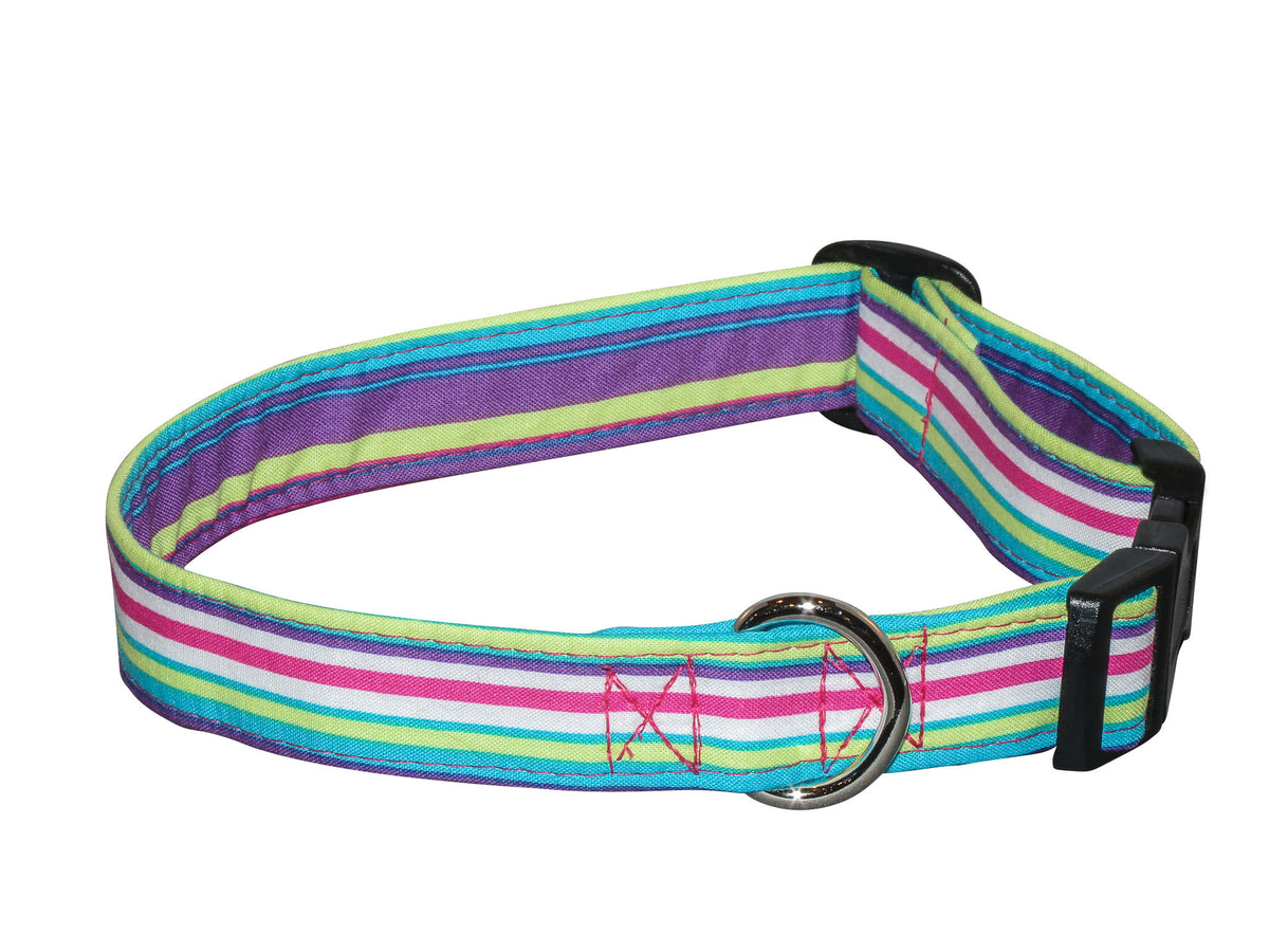 Striped dog collar in purple, teal, and green with metal buckle and black strap