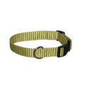 Moss green striped dog collar with black buckle and D-ring