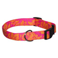 Fuchsia damask dog collar with orange scroll pattern, black buckle and D-ring