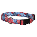 Western-style dog collar with red, white, and blue print, black buckle, and metal D-ring
