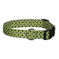 Green citrus geometric dog collar with black plastic buckle and D-ring
