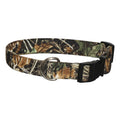 Camo dog collar with metal D-ring and black plastic buckle