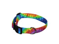 Tie-dye burst dog collar with black buckle and metal D-ring