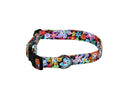Multicolor floral dog collar with metal buckle