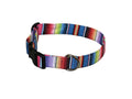 Elmo's Closet Fiesta dog collar with rainbow stripes, black buckle, and metal D-ring