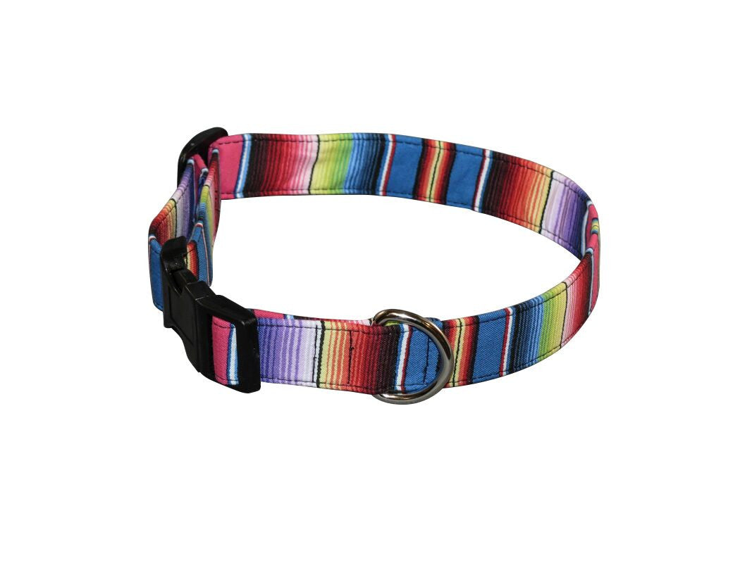 Elmo's Closet Fiesta dog collar with rainbow stripes, black buckle, and metal D-ring
