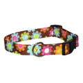 Floral dog collar with multicolor flower pattern and black buckle