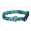 Blue floral dog collar with flower pattern, black buckle, and metal D-ring