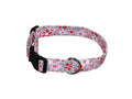 Happy daisies fabric dog collar with pink flower pattern and black buckle